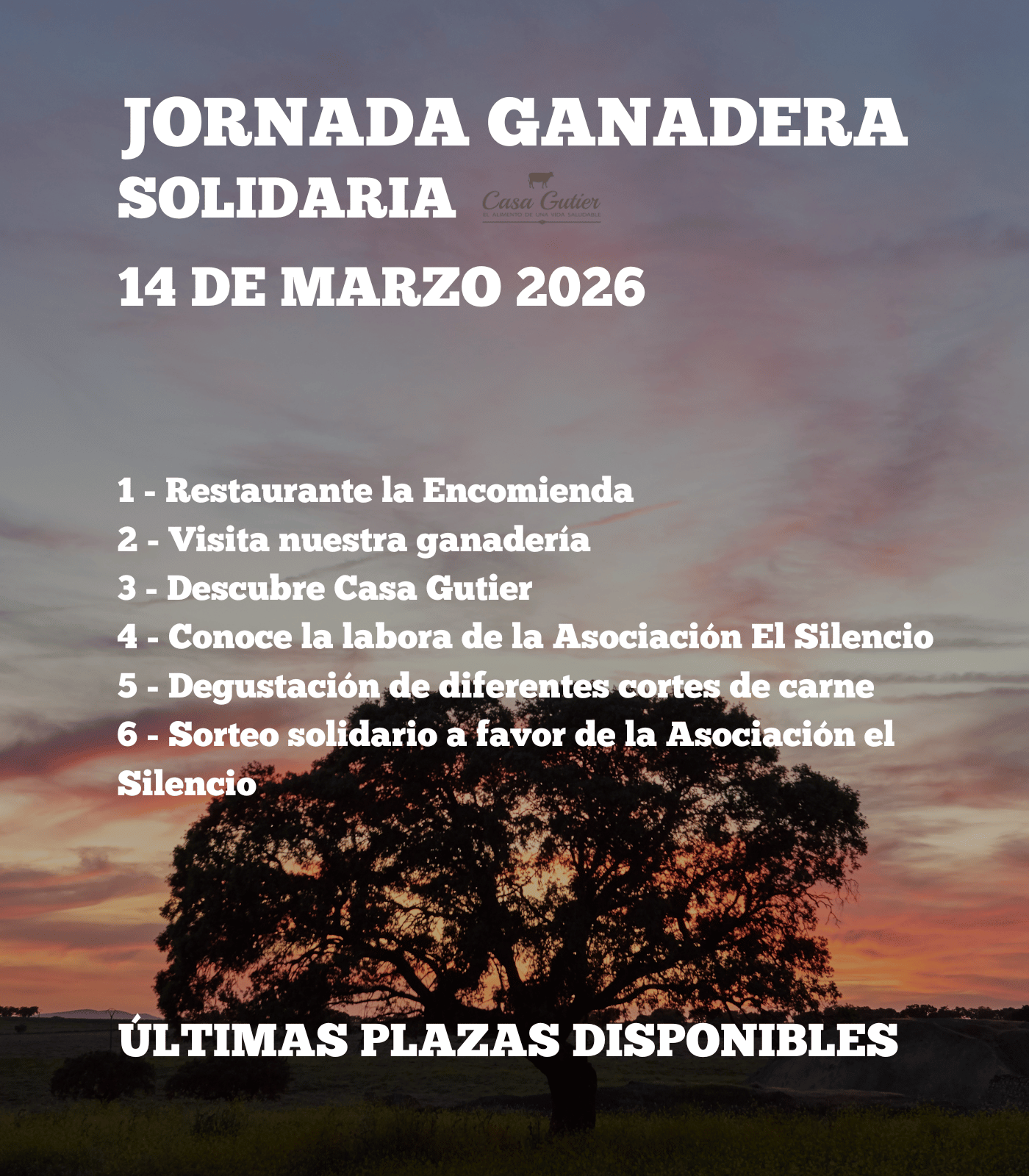Jornada Solidaria 14 de marzo (Últimas plazas disponibles)
