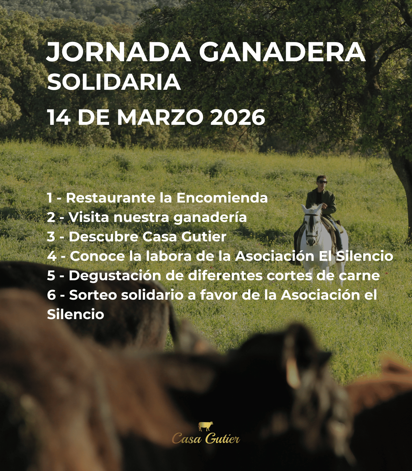 Jornada Solidaria 14 de marzo