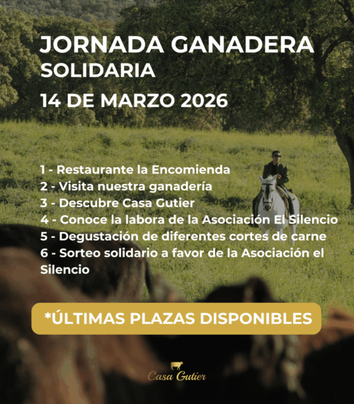 Jornada Solidaria 14 de marzo - Últimas plazas disponibles