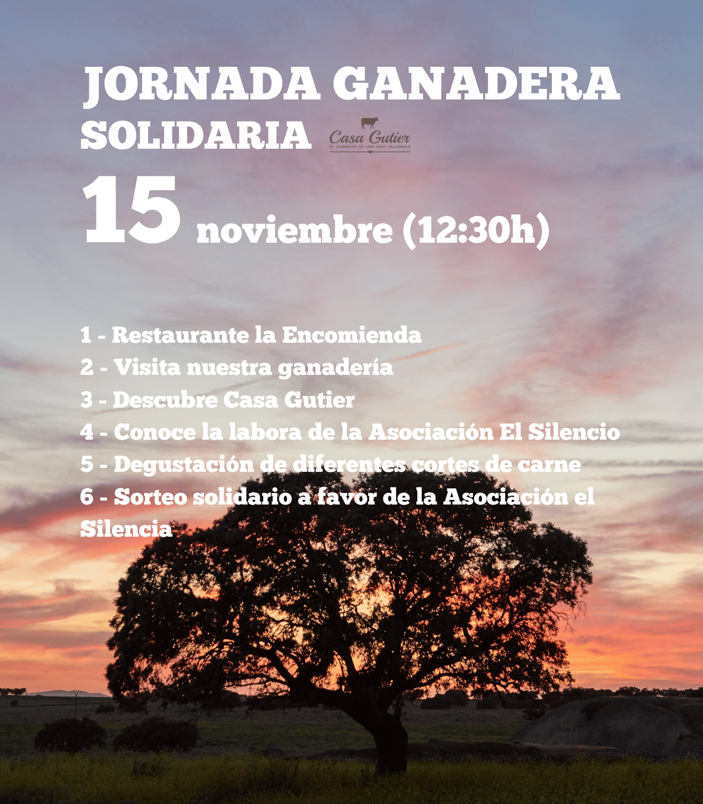 Jornada Solidaria 15 de noviembre