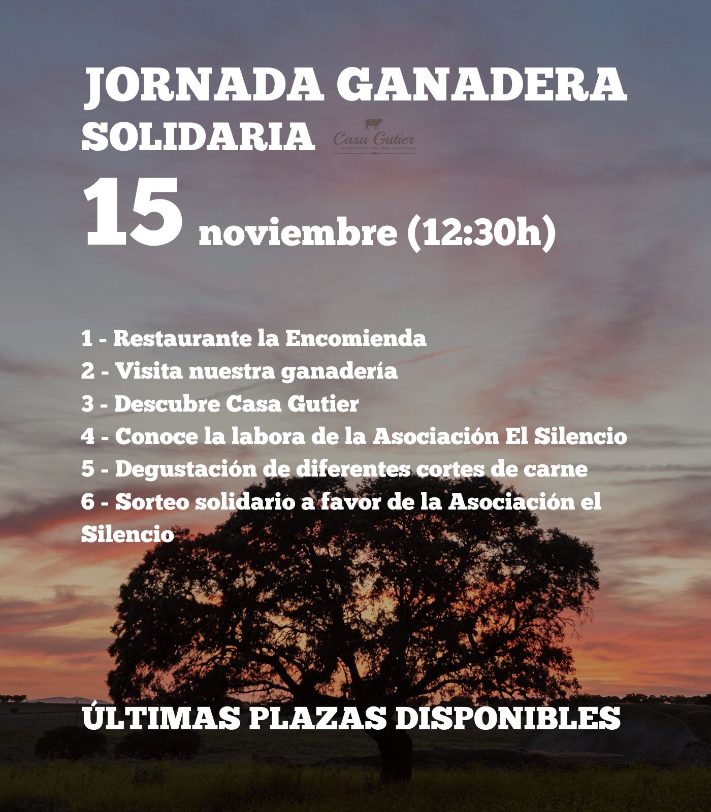 Jornada Solidaria 15 de noviembre (Últimas plazas disponibles)