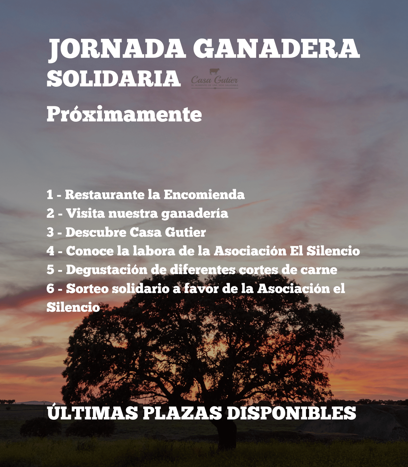 Jornada Solidaria Proximamente (Últimas plazas disponibles)